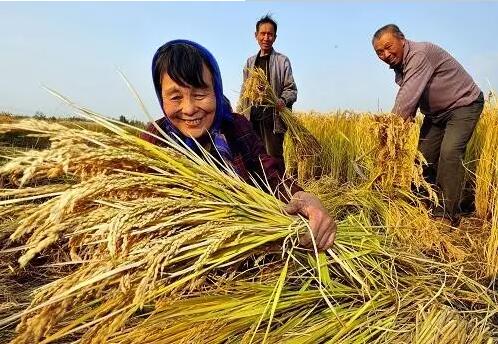 重磅！繼包產到戶之后，我國農村又一次迎來重大改革